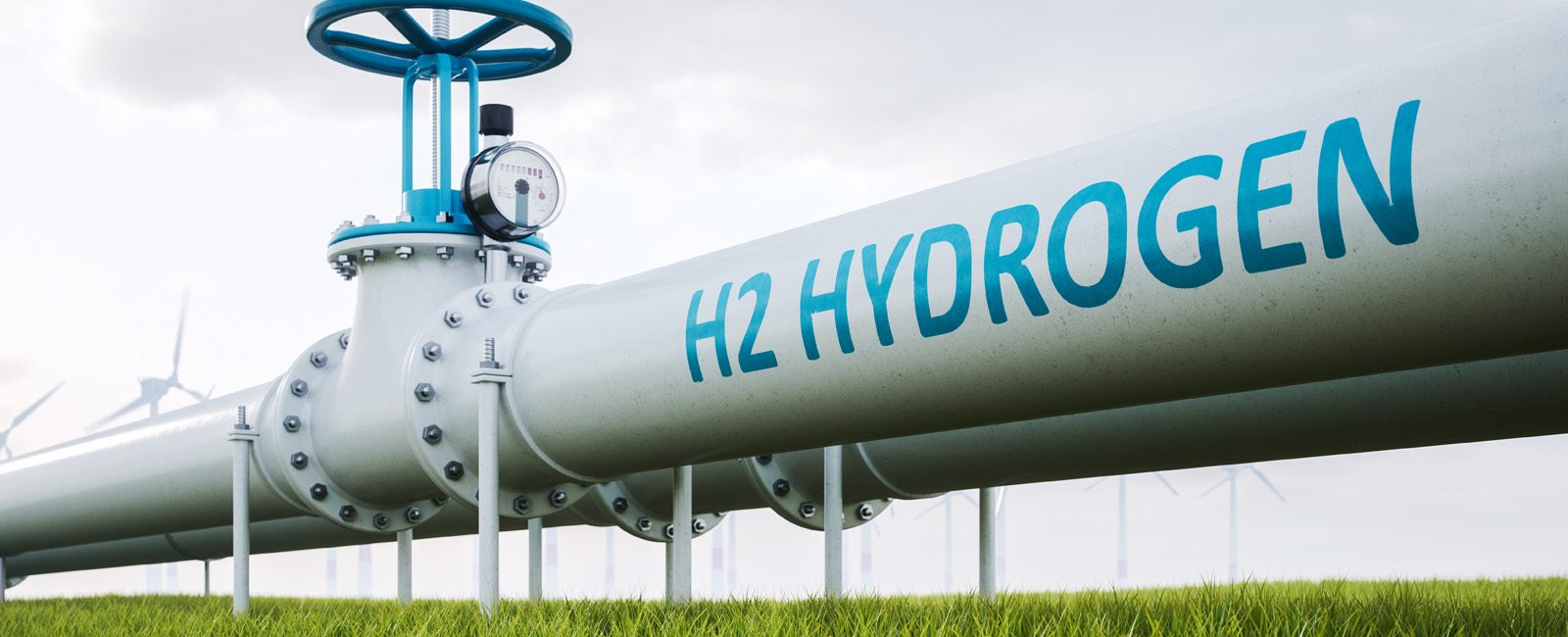 Hydrogen Network Southwest Netherlands