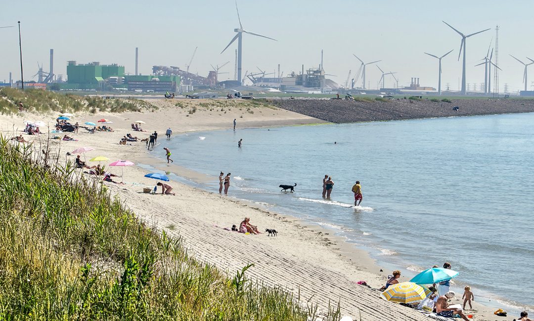 Environmental assessment of hydrogen carriers in Zeeland