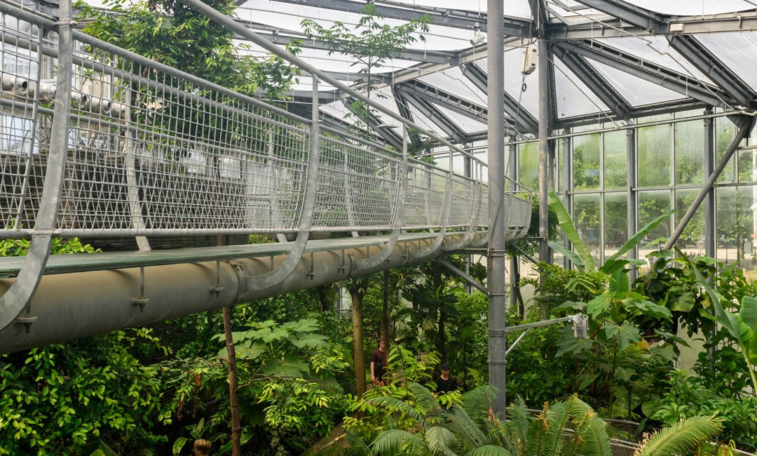 Renovatie Drieklimatenkas Hortus Botanicus, Amsterdam