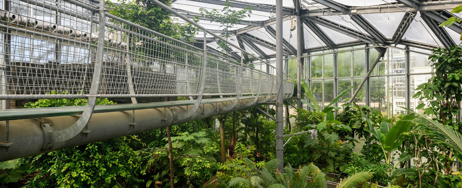 Renovatie Drieklimatenkas Hortus Botanicus, Amsterdam
