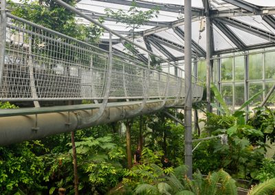 Renovatie Drieklimatenkas Hortus Botanicus, Amsterdam