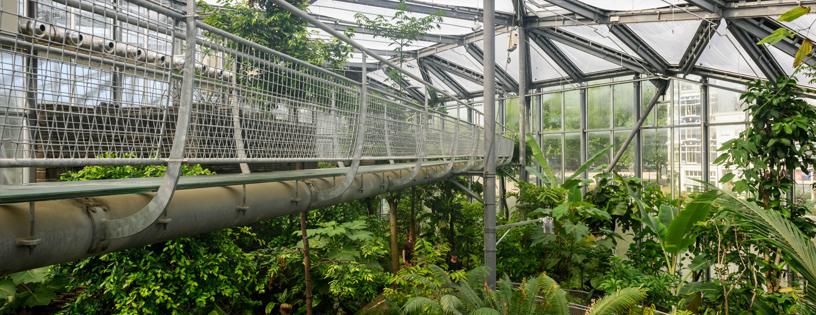 Renovatie Hortus Botanicus